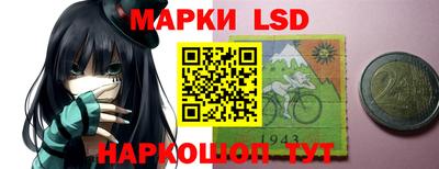 крисы Шелехов