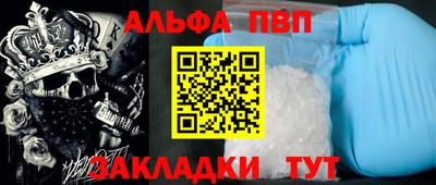 крисы Шелехов