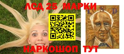 крисы Шелехов