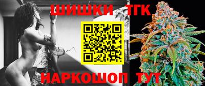 крисы Шелехов