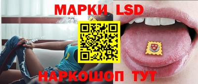 крисы Шелехов