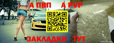 крисы Шелехов